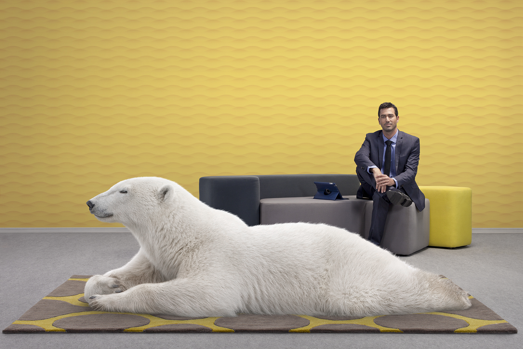 Polar Bear_0208_RET V4_RGB